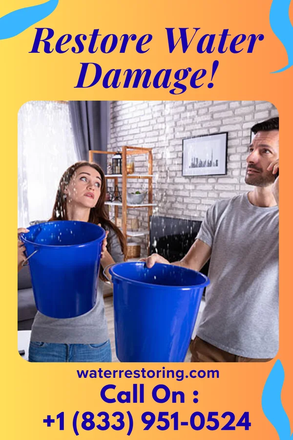 water restoration Ultimate Damage Recovery Experts Ness City