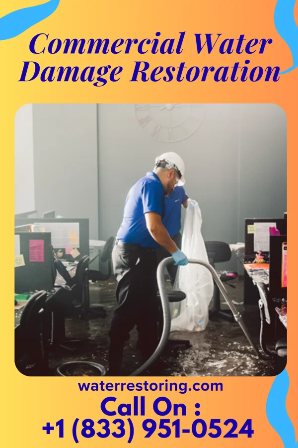 Commercial Water Damage Restoration in Ness City, KS